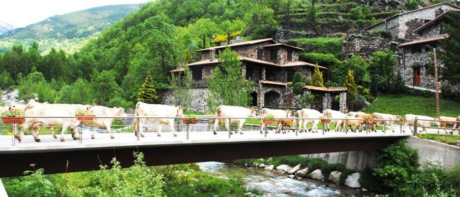 Apartaments Can Bundanci Setcases Exterior foto